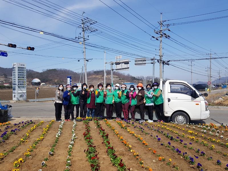 내가면_봄꽃식재_(1)