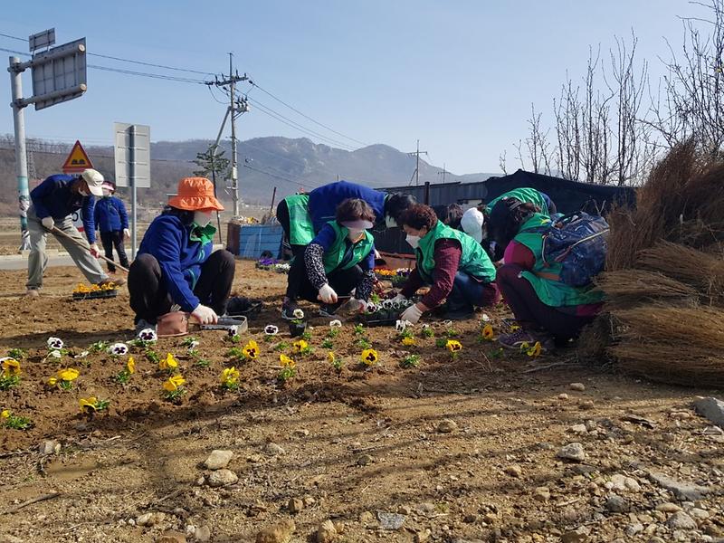 내가면_봄꽃식재_(2)