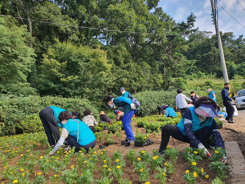 내가면_꽃_식재_(2)