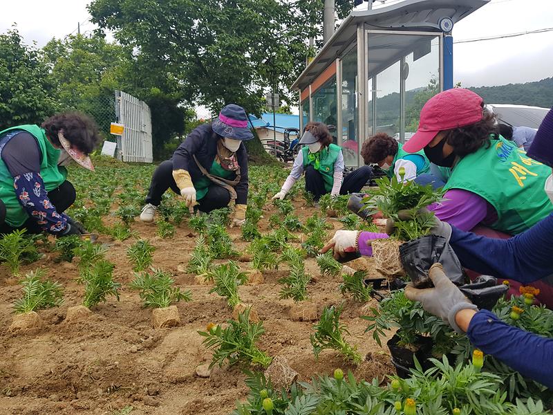 내가면_꽃식재_(1)