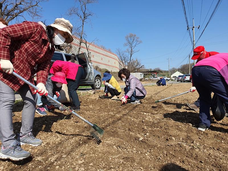 내가면_꽃씨파종_(1)