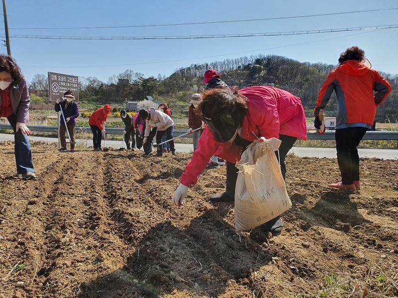 내가면_꽃씨파종_(2)
