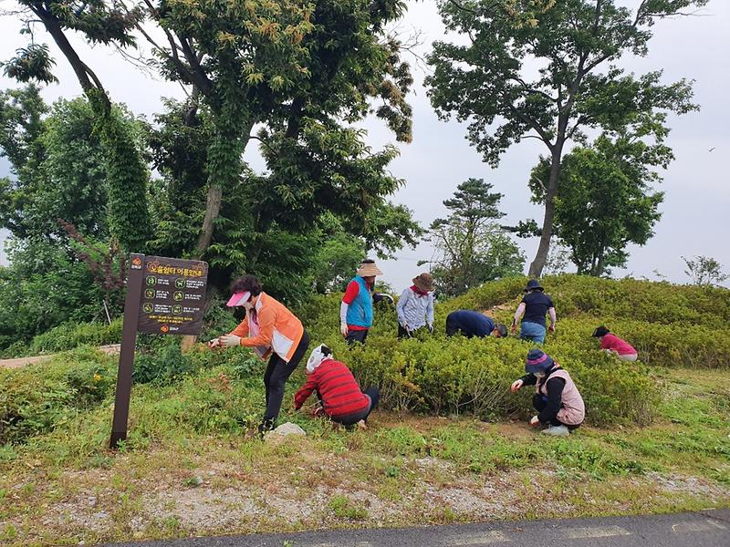 내가면_노을공원_환경정비_(1)