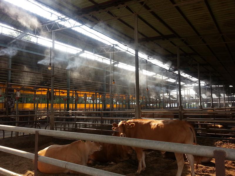 농업기술센터_축사_사진