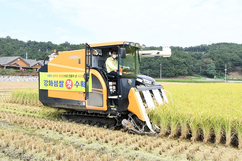 농업기술센터_강화섬쌀_첫_수확현장_확인_(11)