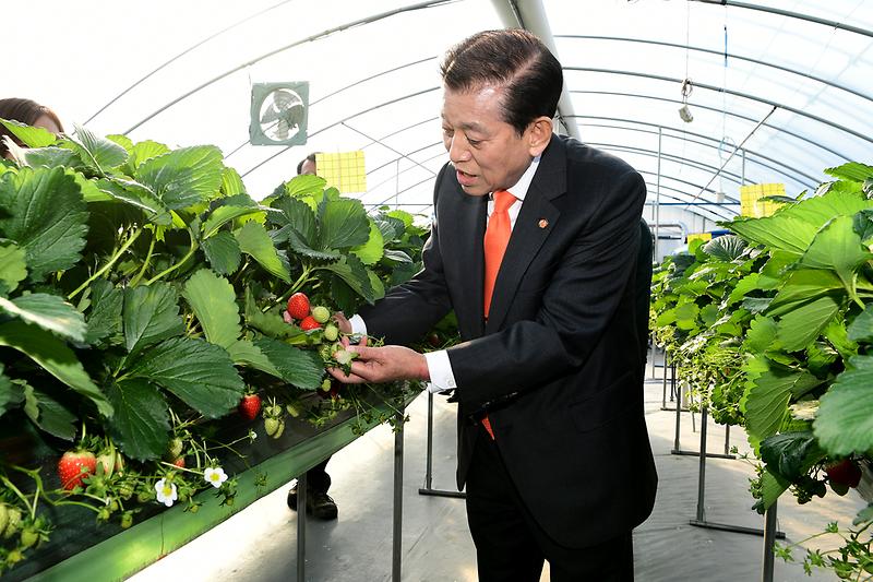 농업기술센터_현장확인_(2)