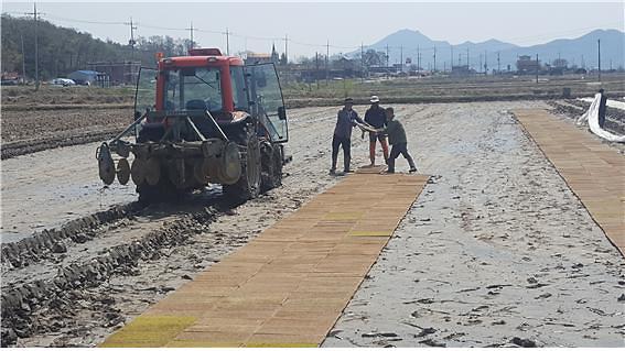 농업기술센터_적기못자리