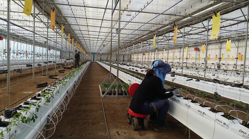 농업기술센터_정예농업인_육성