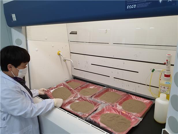 농업기술센터_농가에서_가져온_흙을_분석_전에_전처리_하고_있다