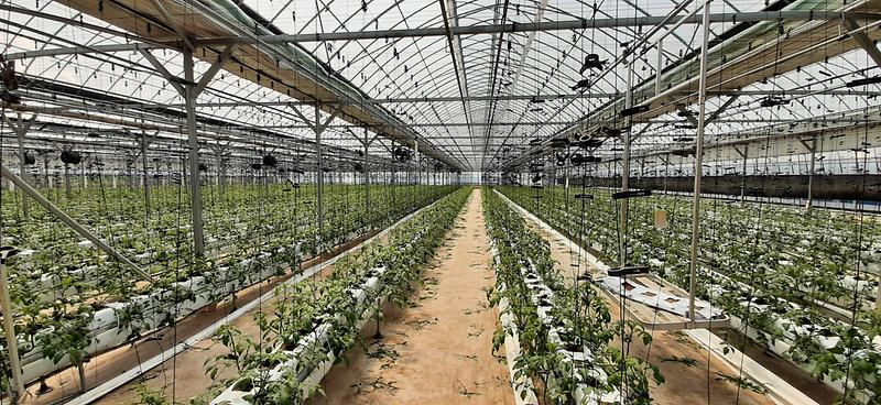 농업기술센터_온실사진