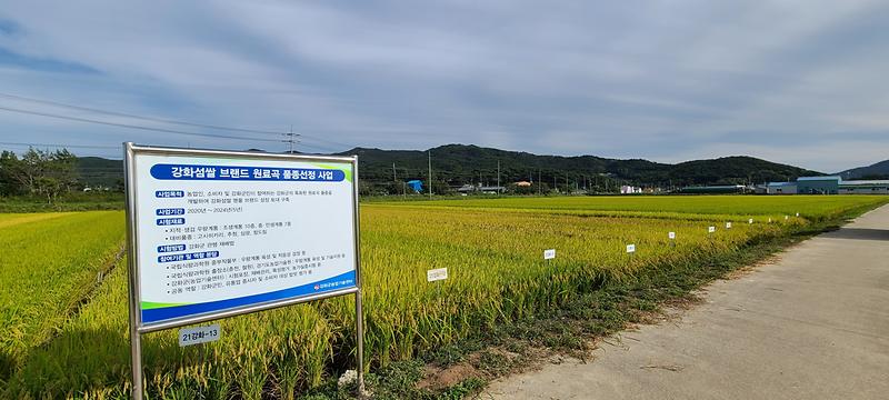 농업기술센터_시험포