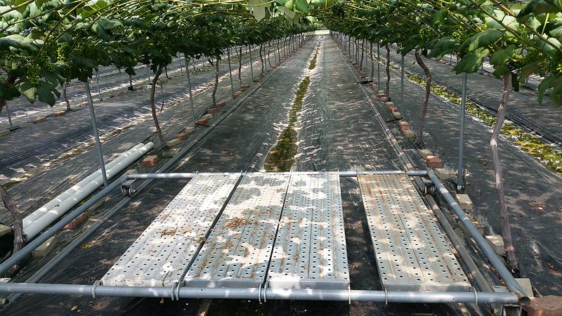 농업기술센터_신기술_보급(운송레일)