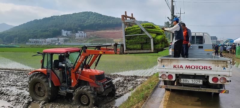 농업기술센터_예비모공급_(2)