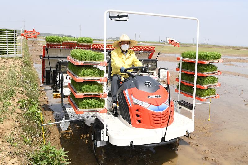 풍년농사_기원_모내기_시연회_(12)