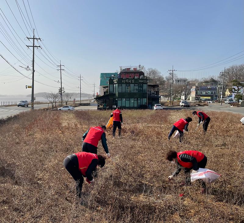 선원면_철쭉_꽃동산_정비사진_(1)