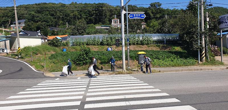 선원면_이장단이_중앙로_도로변_제초_및_쓰레기_수거_작업을_하는_사진