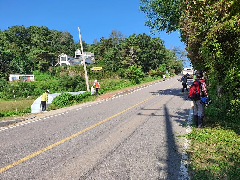선원면_주민자치위원들이_선행리_도로변에서_제초작업_및_환경정화_활동을_하고_있다
