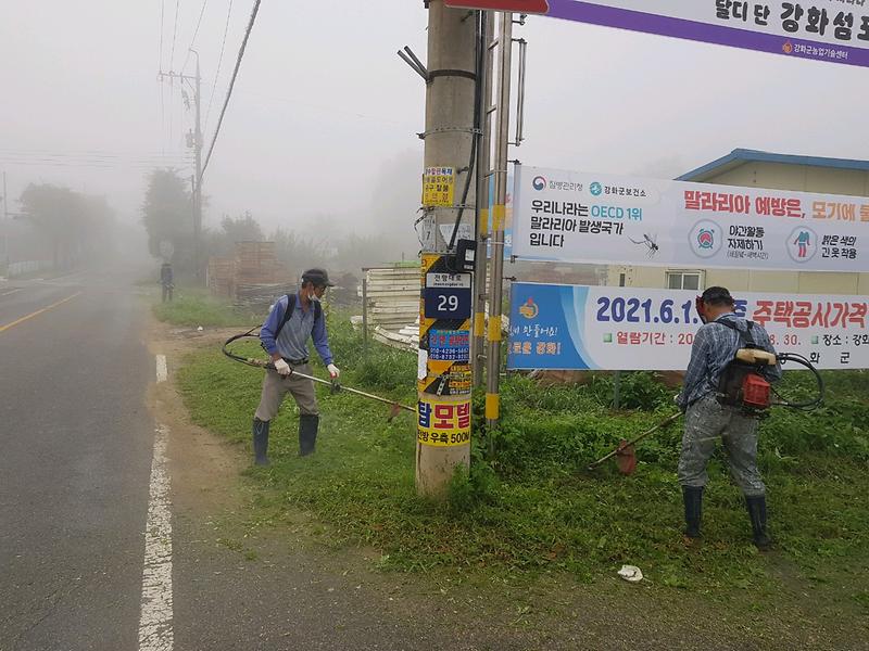 송해면_도로변_제초_(2)