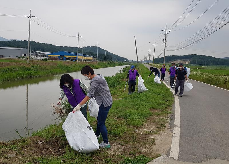 송해면_환경정화_(2)