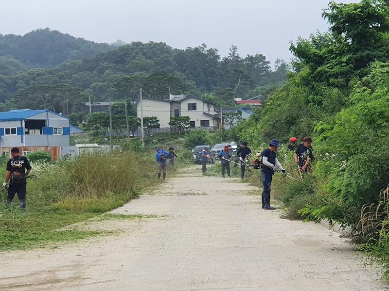 송해면_외래식물