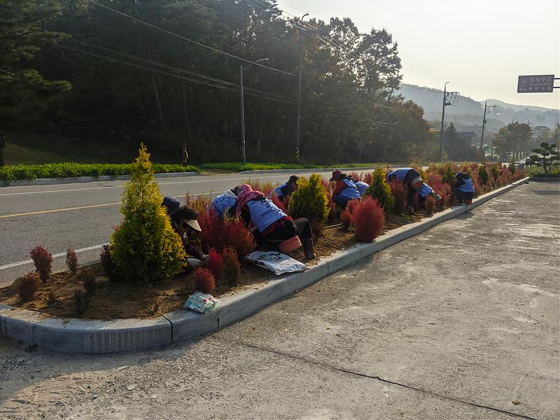 양도면_화단정비