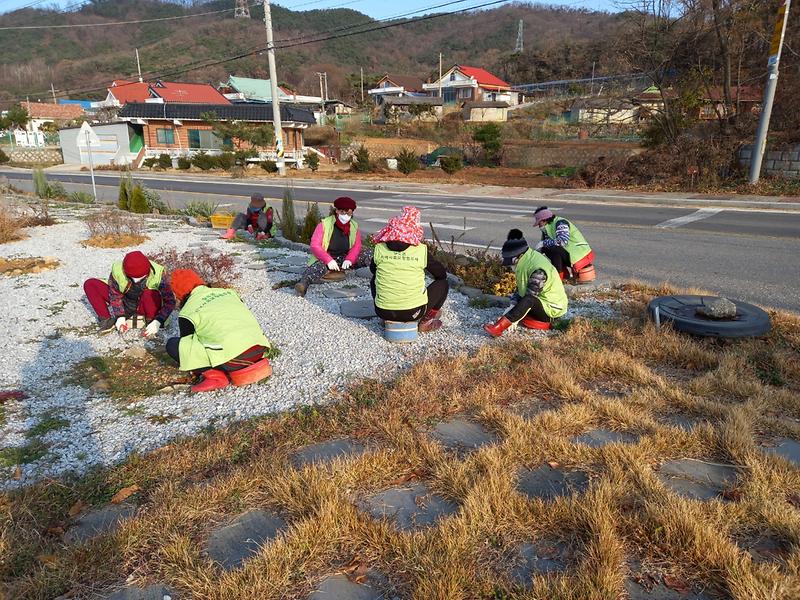 양도면_환경정화_(1)