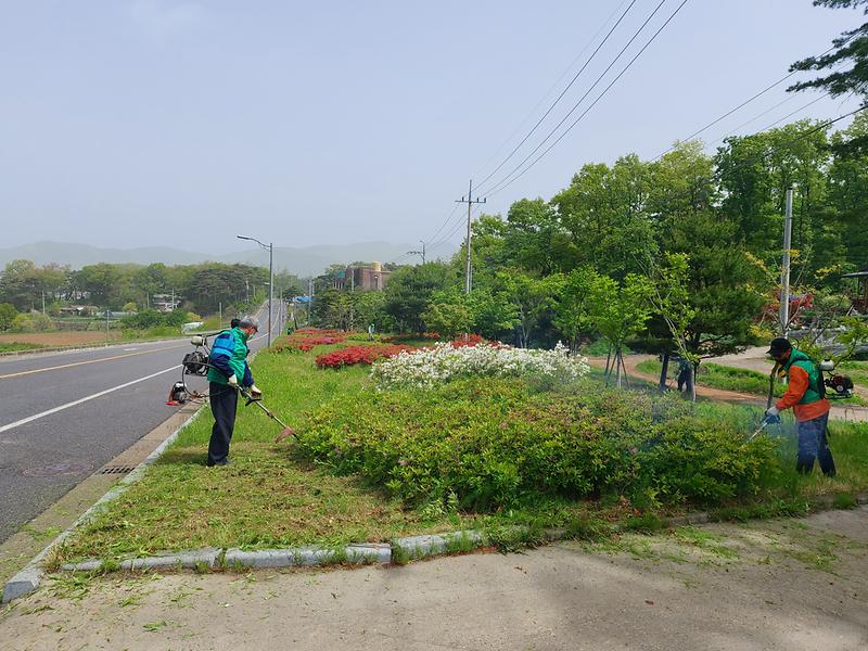 양도면_환경정화_(2)