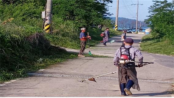 양도면_제초작업3