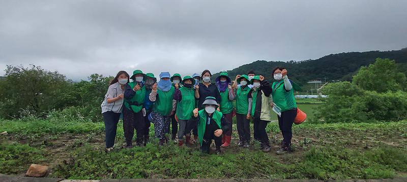 양도면_꽃길조성_1)