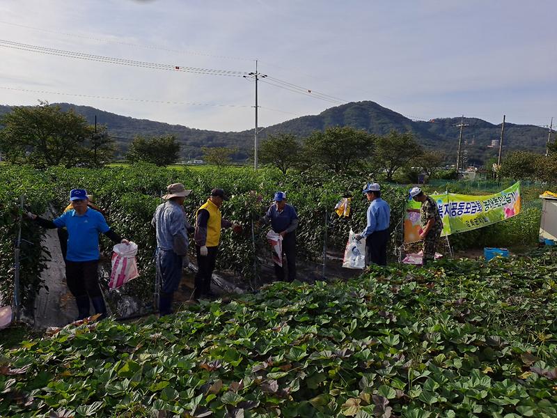 양사면_관련사진1(자원봉사클럽봉사9
