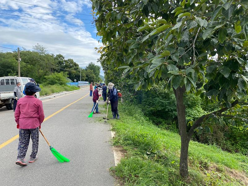 양사면_환경_(1)