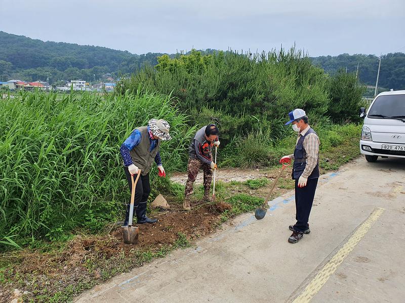 양사면_환경정비_(2)