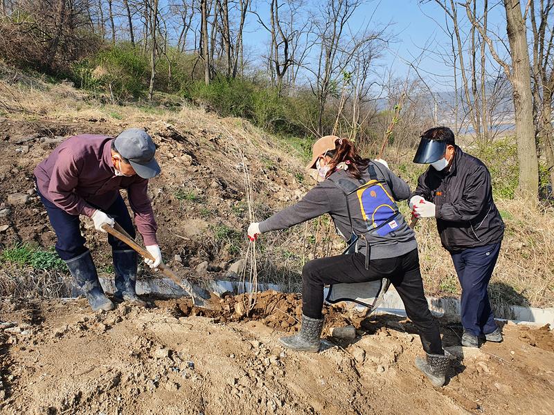 양사면_이장단_꽃_심기_및_환경정비_(3)