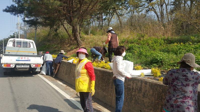 양사면_제초작업