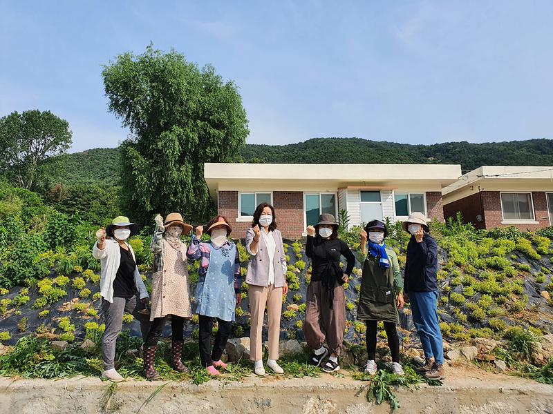 양사면_제초작업_(1)