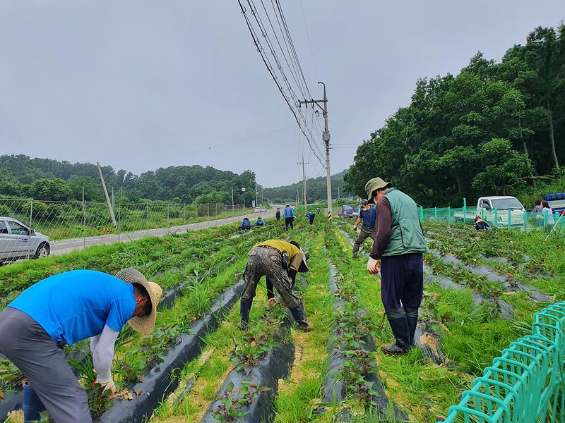 양사면_주민자치