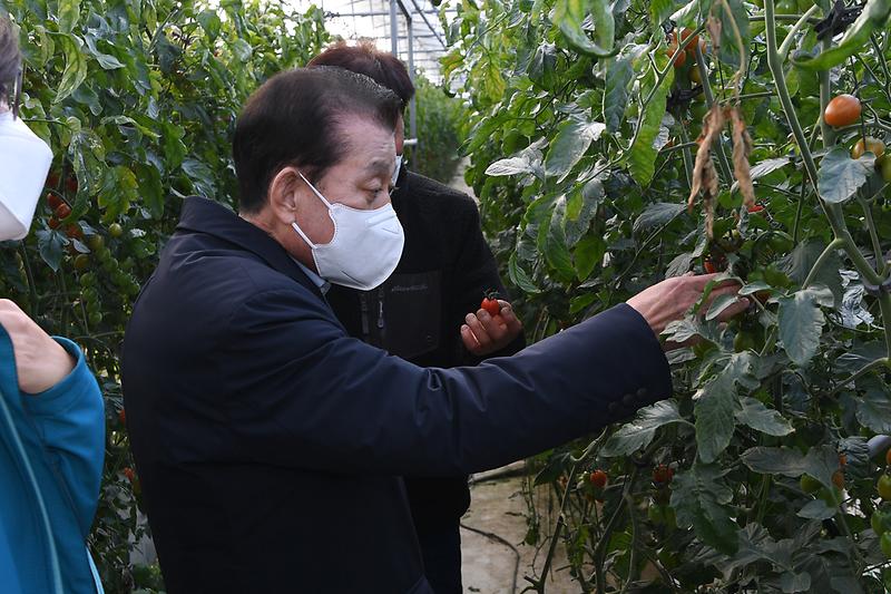 연동_하우스_설치현장_학인_(18)