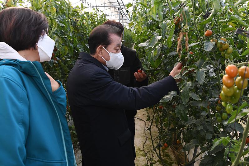 연동_하우스_설치현장_학인_(19)