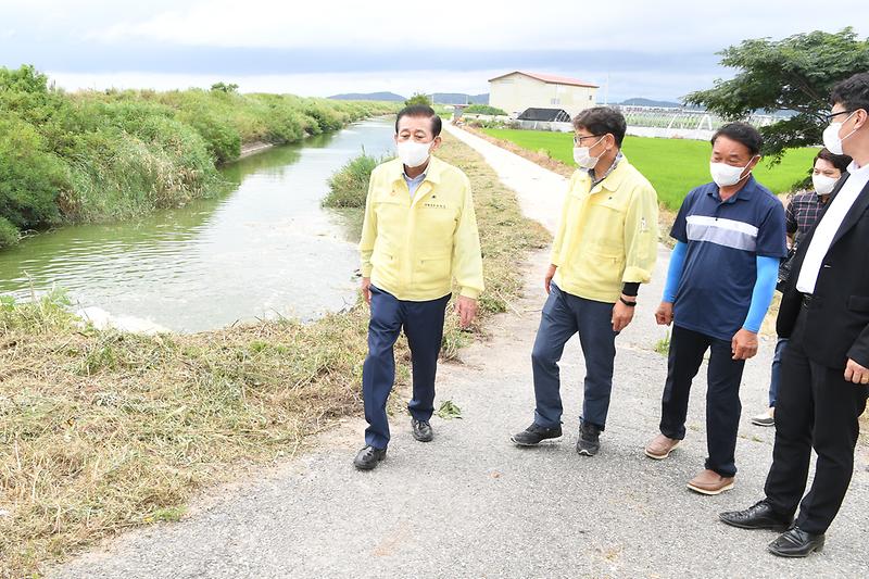 유천호_군수_삼산면_현장_확인_(1)