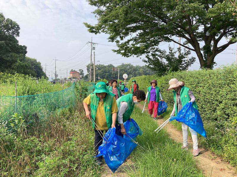 불은면_부녀회_해안가_환경정비
