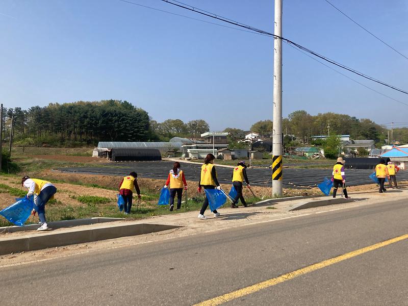 불은면_적십자부녀회_환경정화