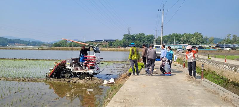 불은면_모내기_현장방문