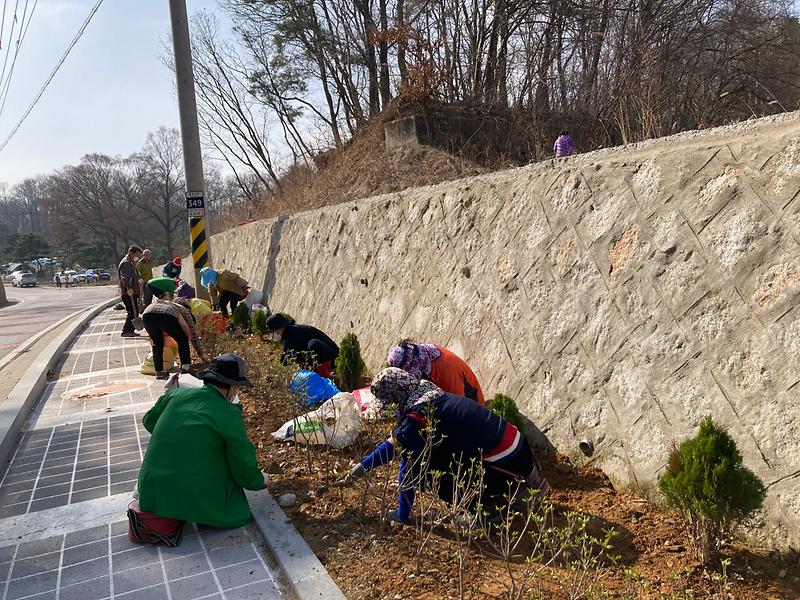 불은면_오두리_마을회_화단정비