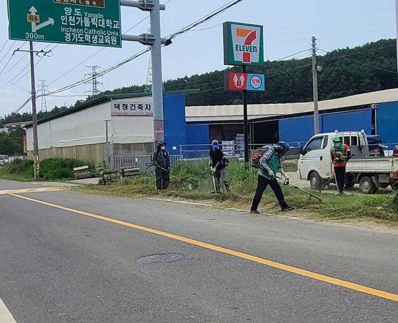 불은면_새마을지도자_제초작업