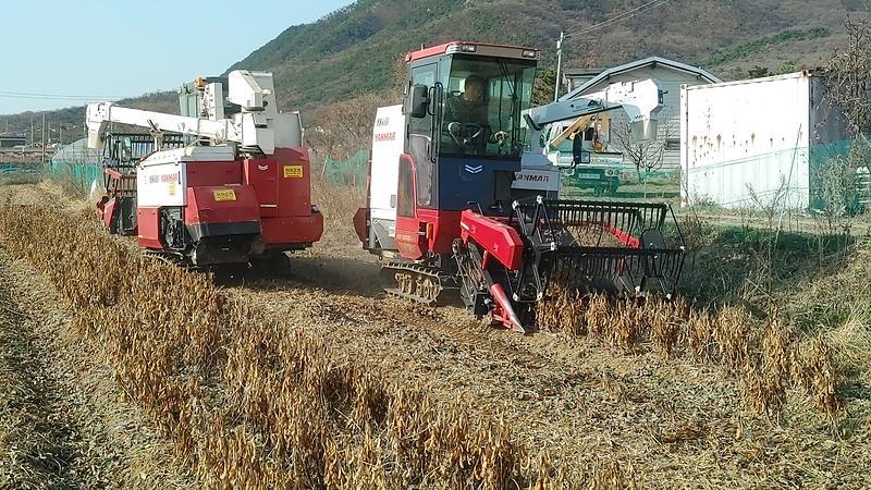 콩_파종부터_수확까지_기계화_영농지원