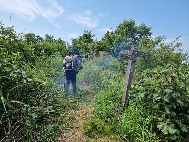 등산로_제초작업_사진1