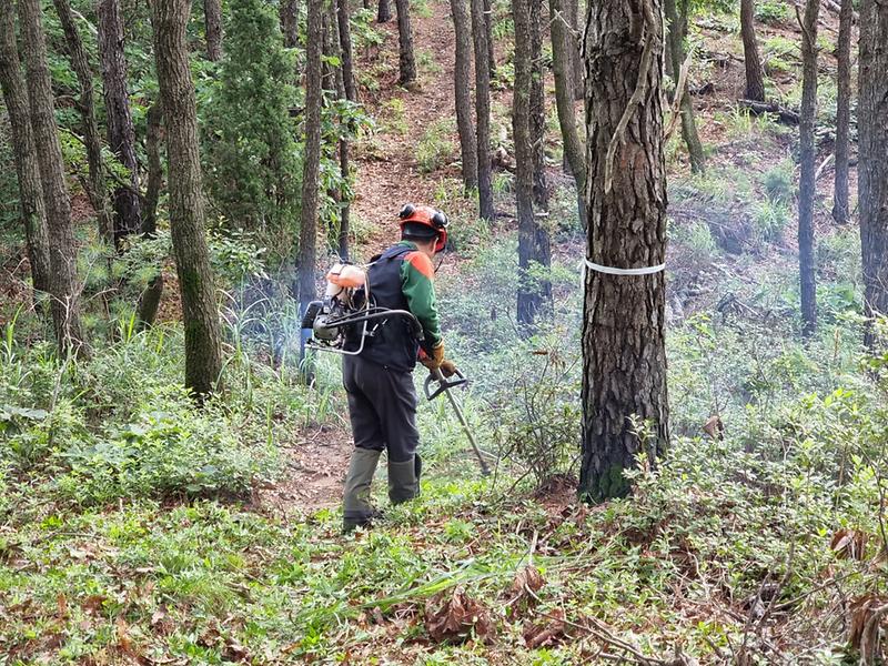 등산로_제초작업_사진2
