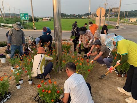 강화읍_이장단_꽃동산_조성