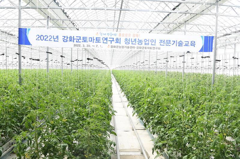 강화군_토마토연구회_청년농업인_전문기술교육_현장_확인_(1)
