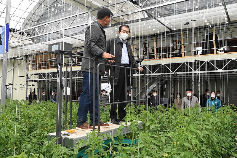 강화군_토마토연구회_청년농업인_전문기술교육_현장_확인_(8)